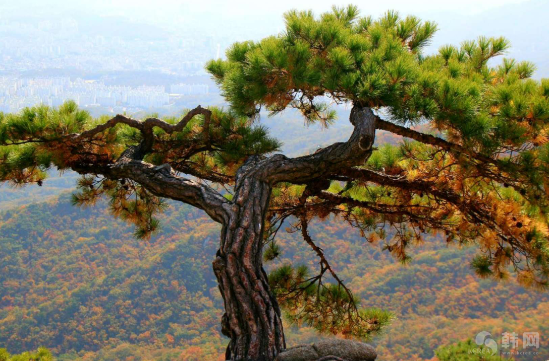 首尔道峰山秋景枫叶图片欣赏