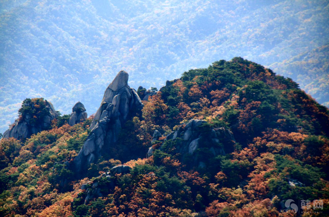 首尔道峰山秋景枫叶图片欣赏