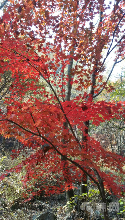 韩国加里旺山山顶溪谷秋季风景图片欣赏
