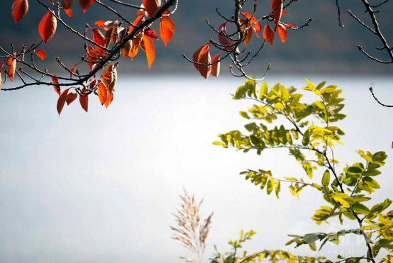 韩国江原道束草市永郎湖秋景图片欣赏