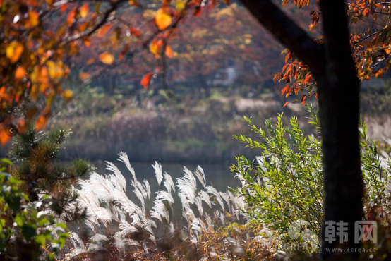 韩国江原道束草市永郎湖秋景图片欣赏