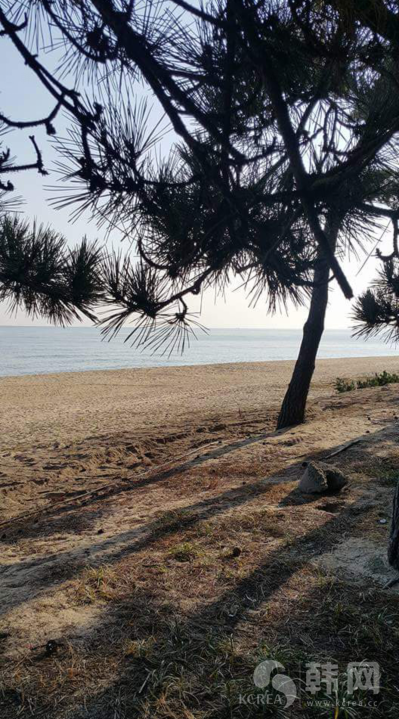 江陵镜浦台秋季海边风景