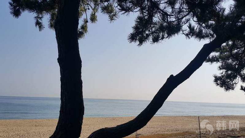 江陵镜浦台秋季海边风景