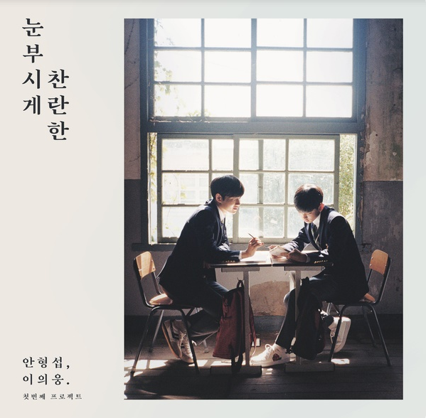 《耀眼的灿烂（눈부시게찬란한）》封面