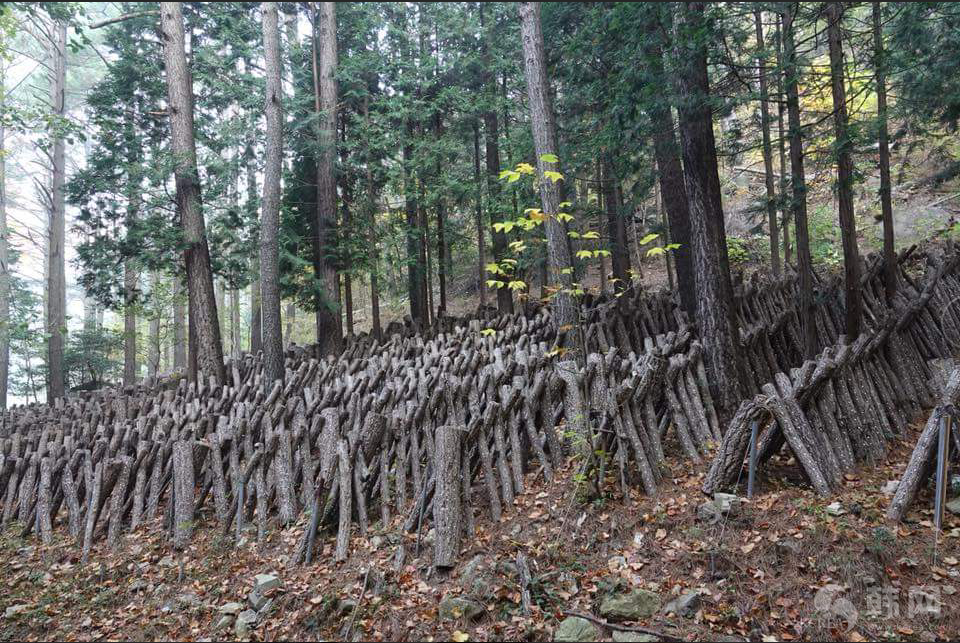 全南康津郡秋景欣赏