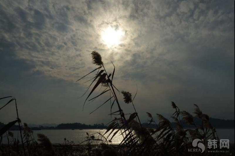 全南康津郡秋景欣赏