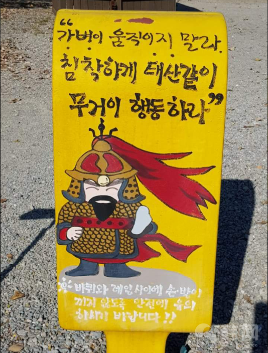 全南宝城郡林荫大路秋季照片欣赏