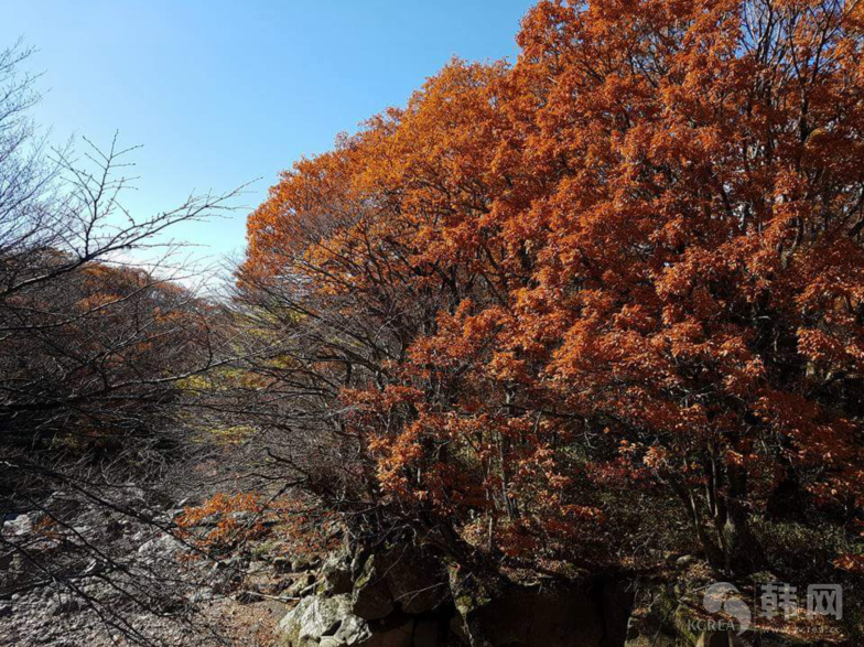 济州岛秋季景色图片欣赏