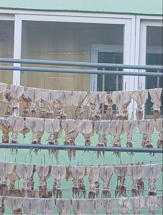  江原道高城郡海边及鱿鱼晒场