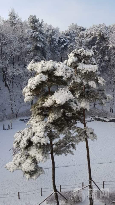 首尔近期下雪全景