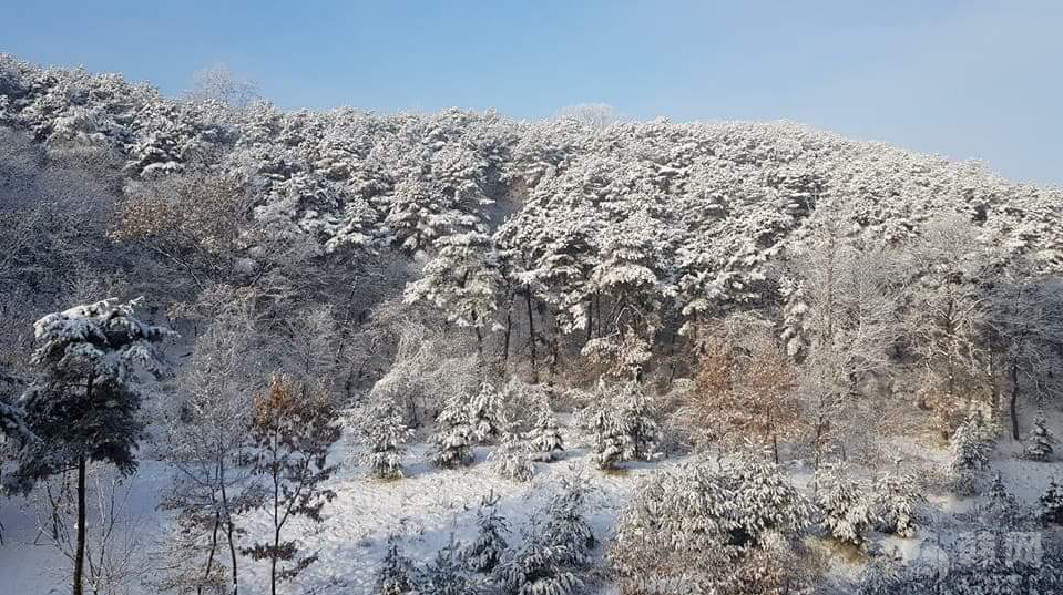 首尔近期下雪全景