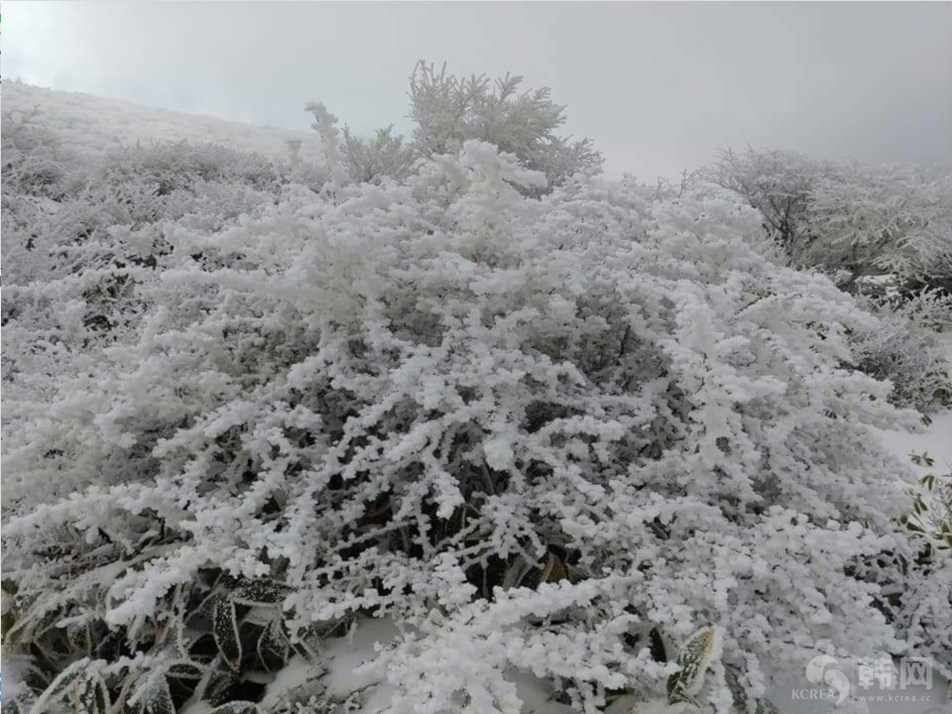  济州岛汉拿山山顶雪景图片欣赏