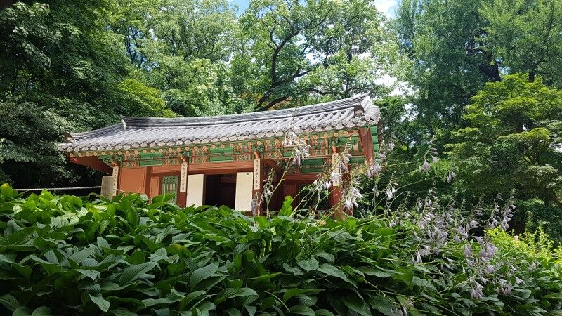 秋季出行好去处，景色历史双重体验--首尔昌德宫