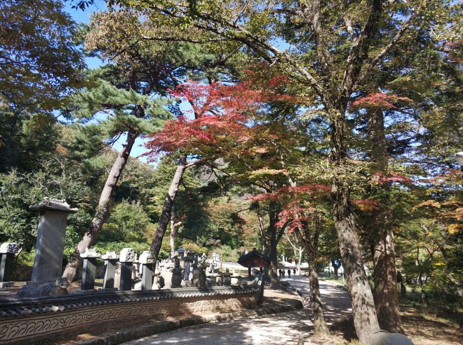 秋季唯美的全罗南道海南郡大兴寺