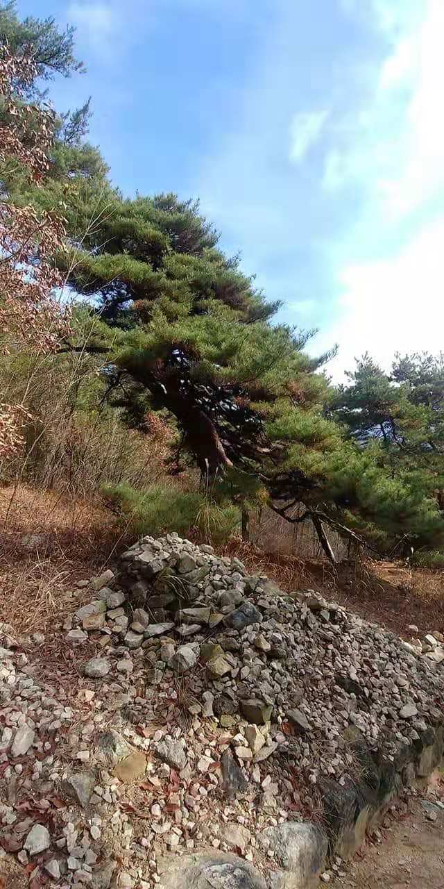  韩国智异山德川郡游仙台溪谷