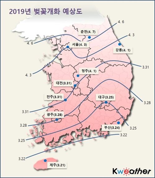 韩国最快将于下月4日樱花盛开，又到了赏樱好季节