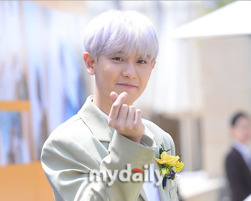 EXO成员灿烈首尔品牌活动紫灰色头发帅气十足