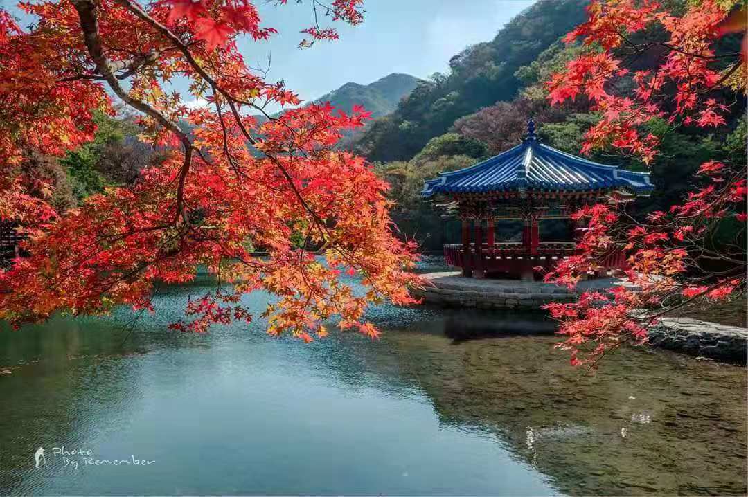 韩国枫叶点缀韩国之秋