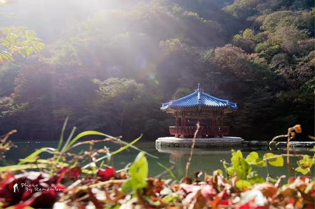 韩国枫叶点缀韩国之秋