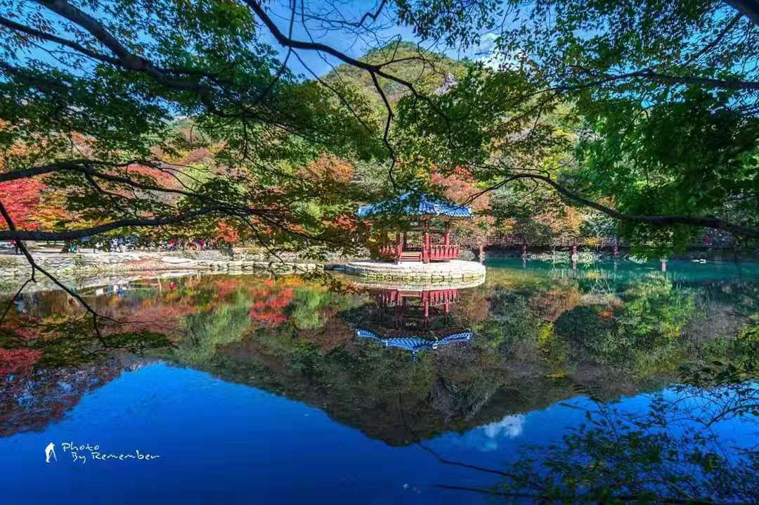 韩国枫叶点缀韩国之秋