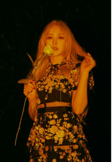 Red Velvet成员WENDY