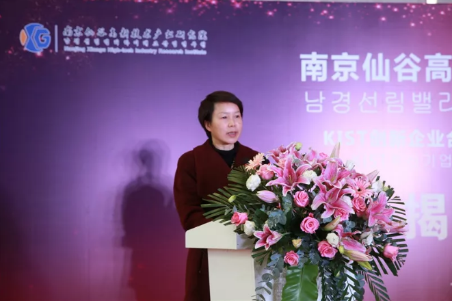 栖霞区副区长卢静发言