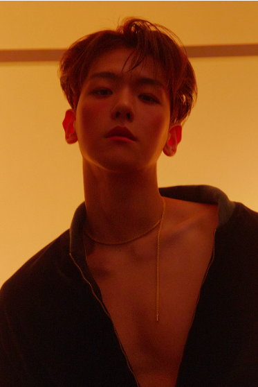 EXO成员BAEKHYUN