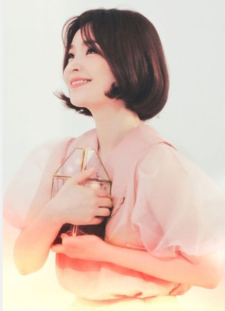 田美都与丁文晟