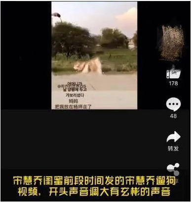 炫彬宋慧乔