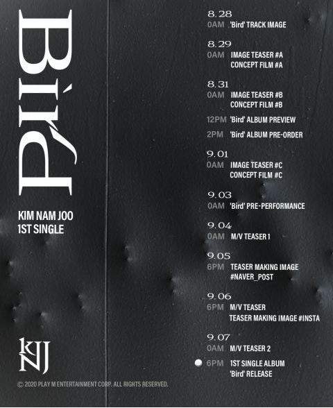 Apink 金南珠