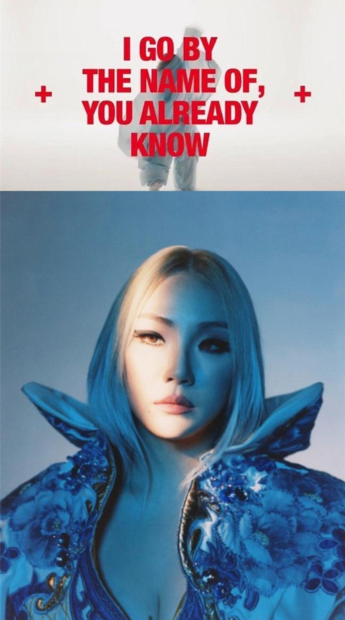 2NE1出身CL