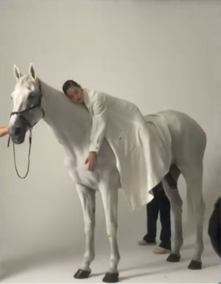 金高银