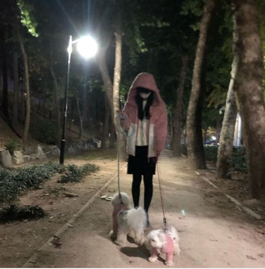 秀智