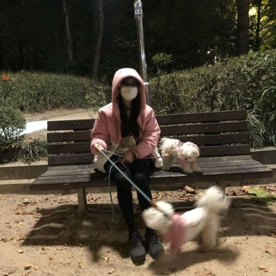 秀智