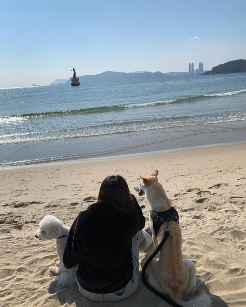 泫雅