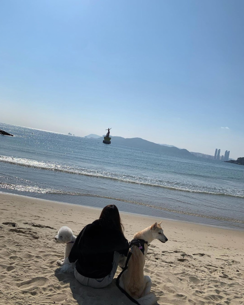 泫雅