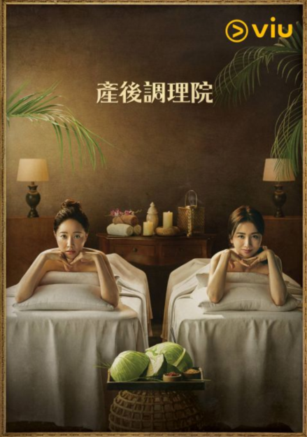 《产后调理院》