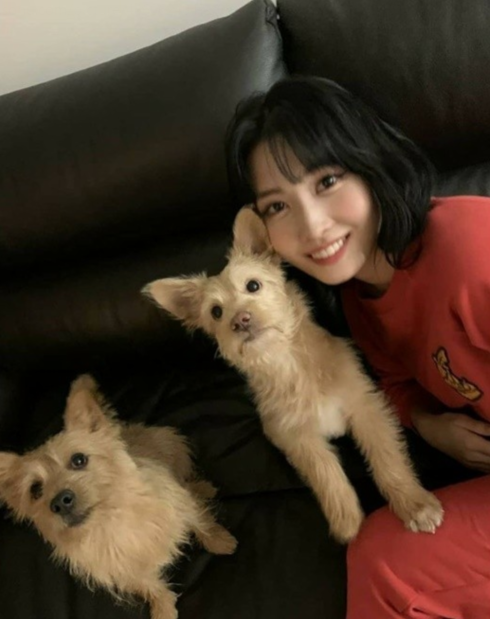 TWICE成员MOMO