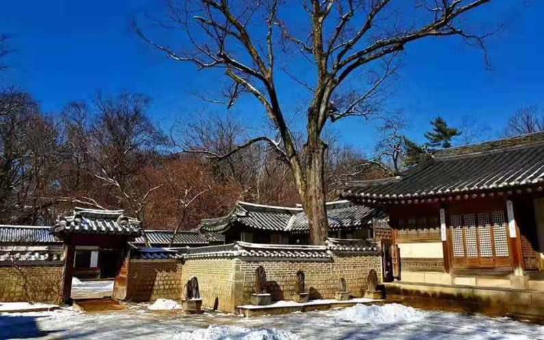 首尔冬季景福宫雪景