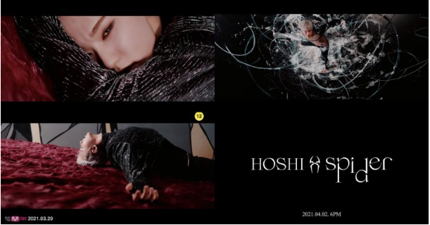 SEVENTEEN成员Hoshi