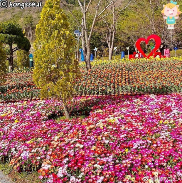 韩国春季美景