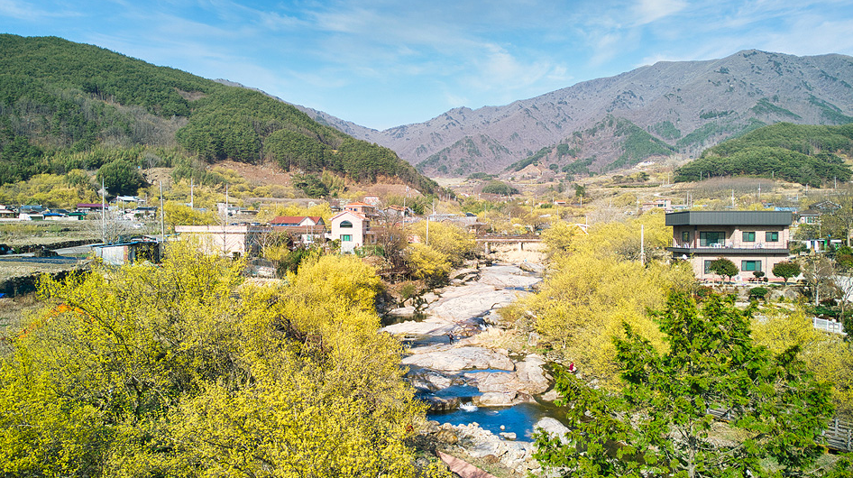 全罗南道赏花之旅