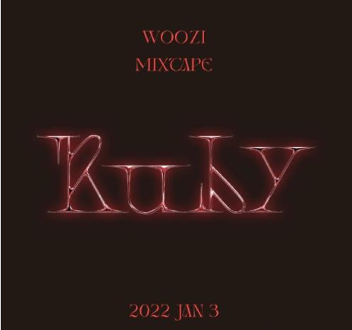 SEVENTEEN成员 WOOZI