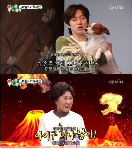 《我家的熊孩子》