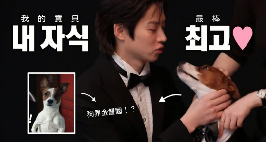 《我家的熊孩子》