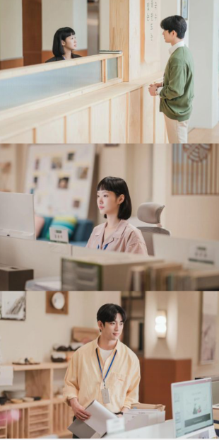 金高银&朴珍荣