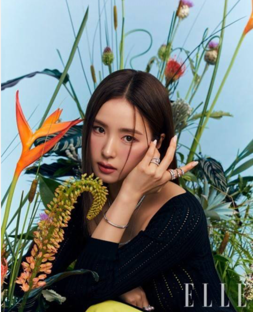 韩国女艺人申世景