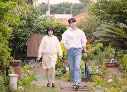 《非常律师禹英祦》