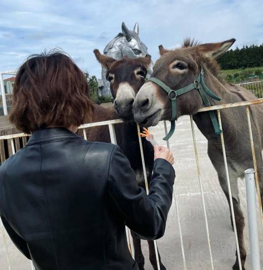 韩国女艺人泫雅
