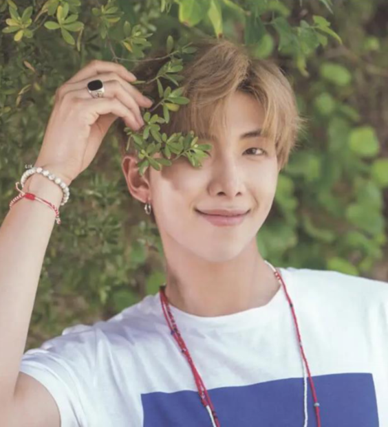 防弹少年团成员 金南俊